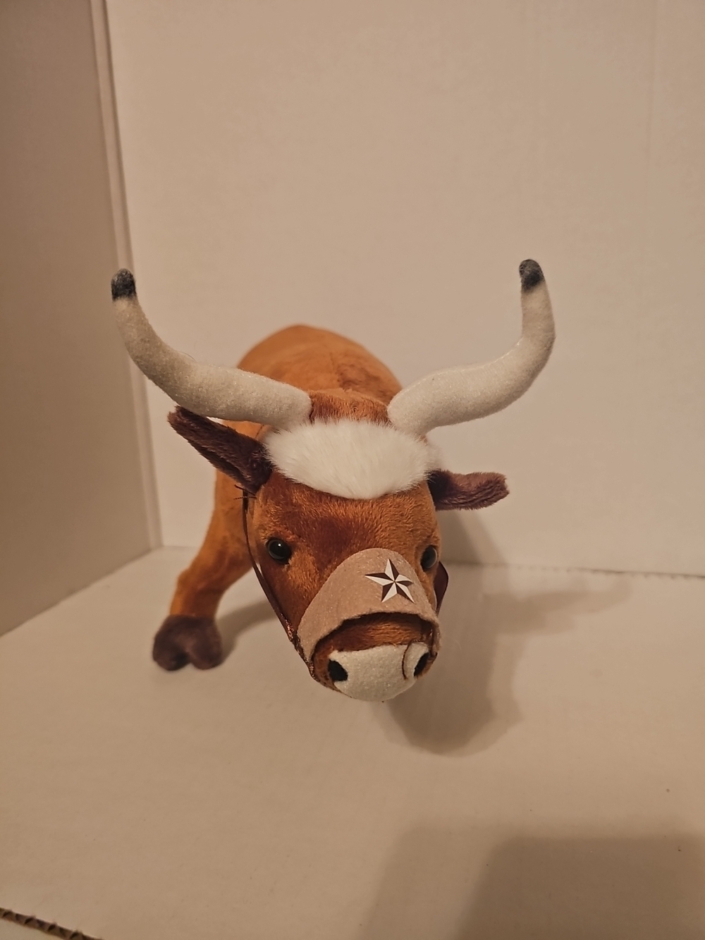  Texas Longhorn steer, featuring distinctive long horns, a nose harness